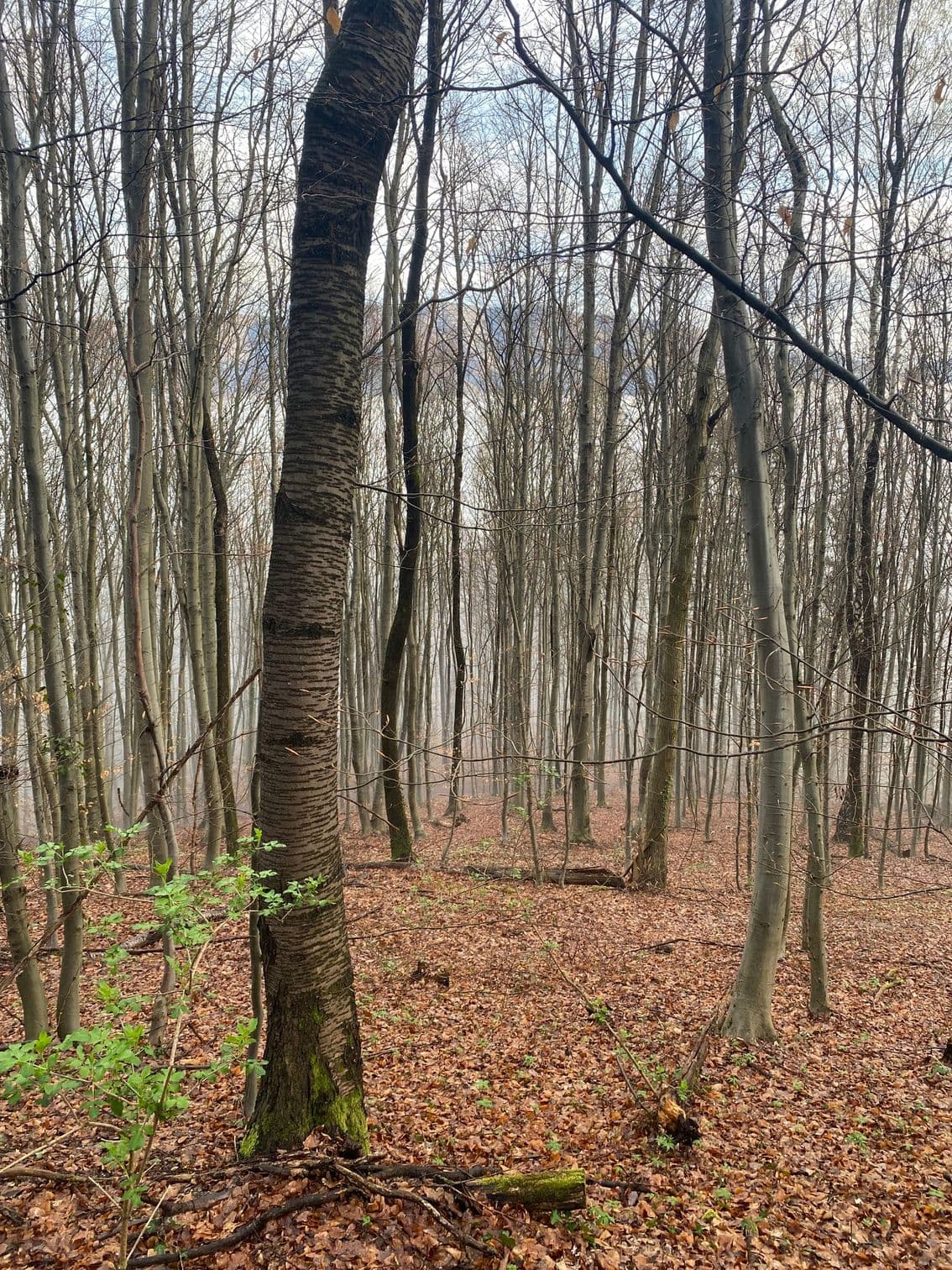 Utrinki oddiha za hrbtenico 2023, fotografija 24